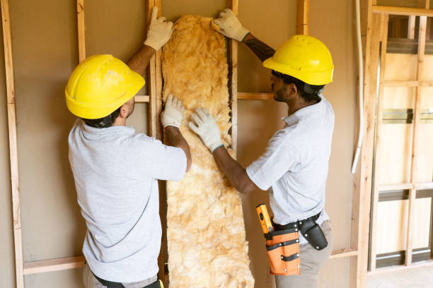 Best Insulation for Commercial Buildings  in USA